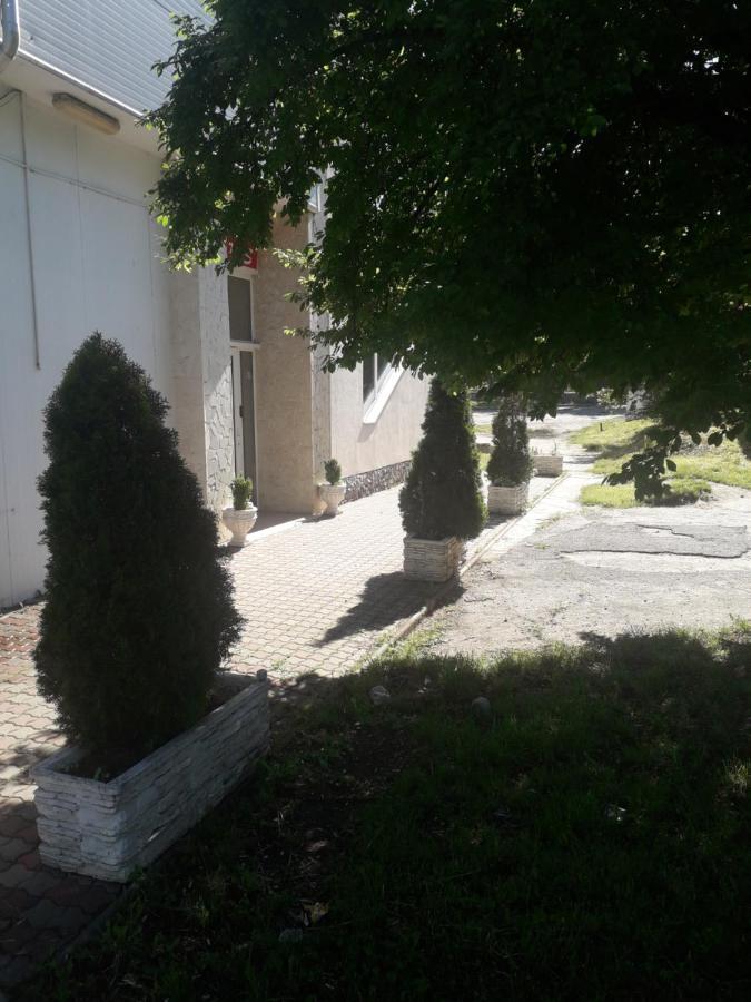 Hostel Paltinis Hunedoara Exterior photo